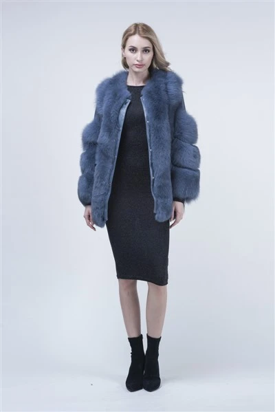 Kot bulu Fox Biru Sebenar